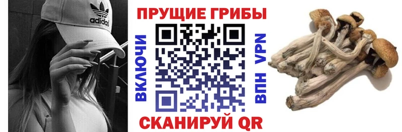 Псилоцибиновые грибы ЛСД  Сургут 